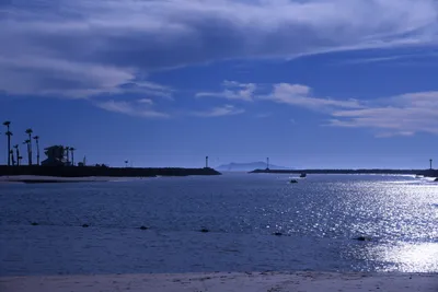 DSC_0816 (Large).JPG